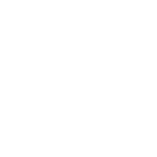 Binus University