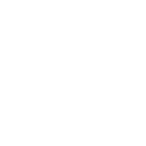 Virtual Kami